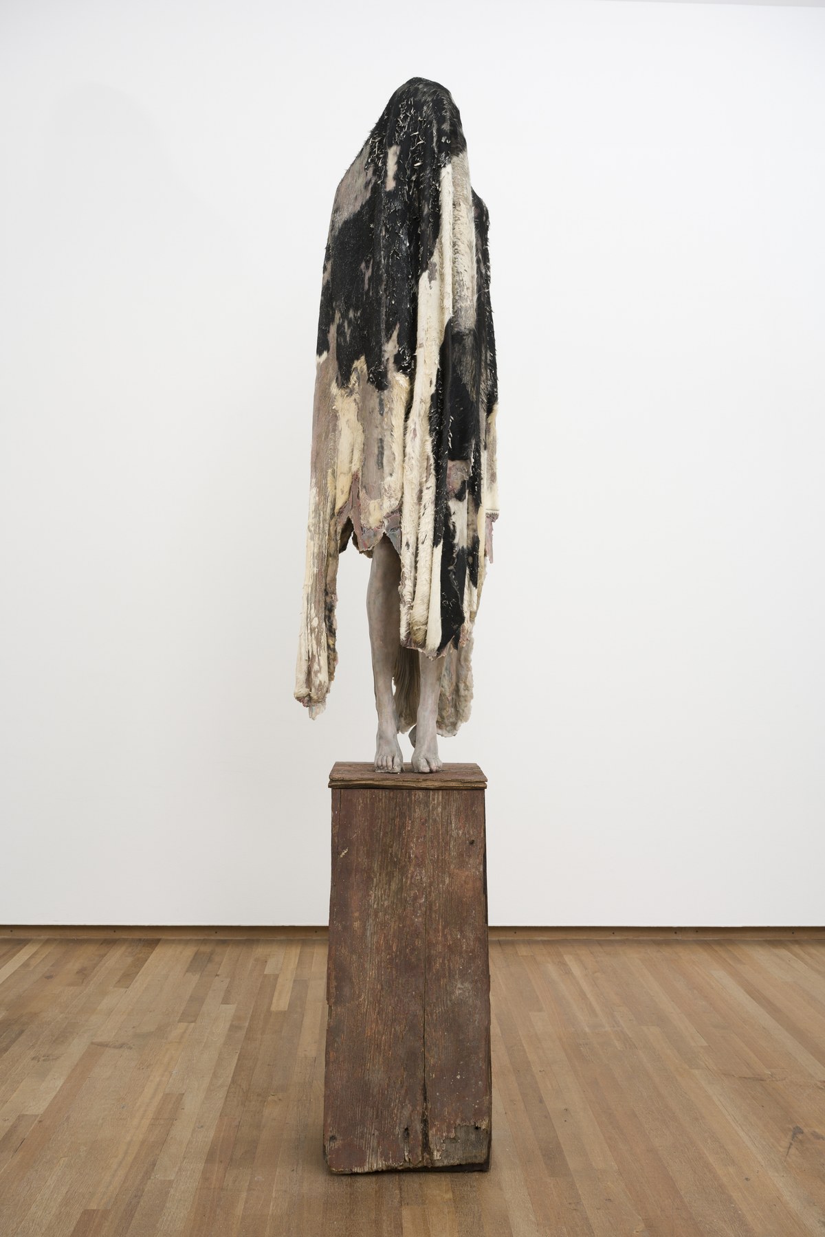 Berlinde De Bruyckere, Arcangelo III, 2020