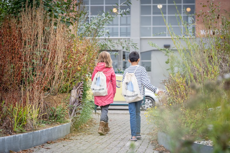 Ontdektas mini-Maaseiland 'De Weerd'