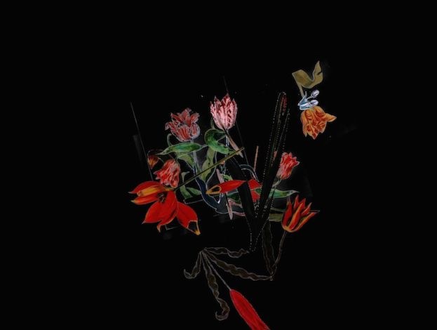 Bubbles and Harlequins