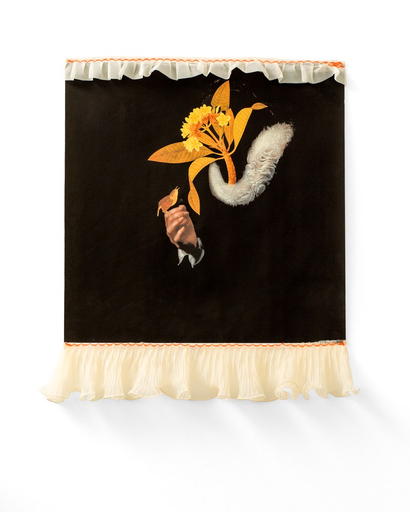 Non Sine Periculo #4/7