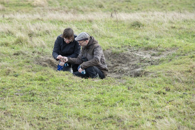 De Weerd: mini-Maaseiland op het voorplein
