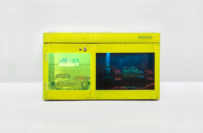 Opening Carl Cheng: Nature Never Loses
