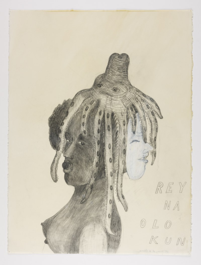 Reina Olokun
