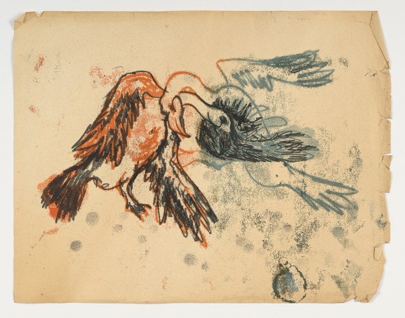 Studie Vechtende Eenden